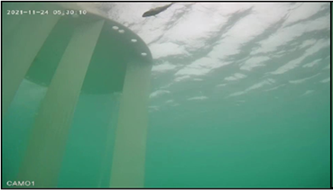 Tidal energy graphic